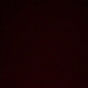 Meet your Posher, Kaleena